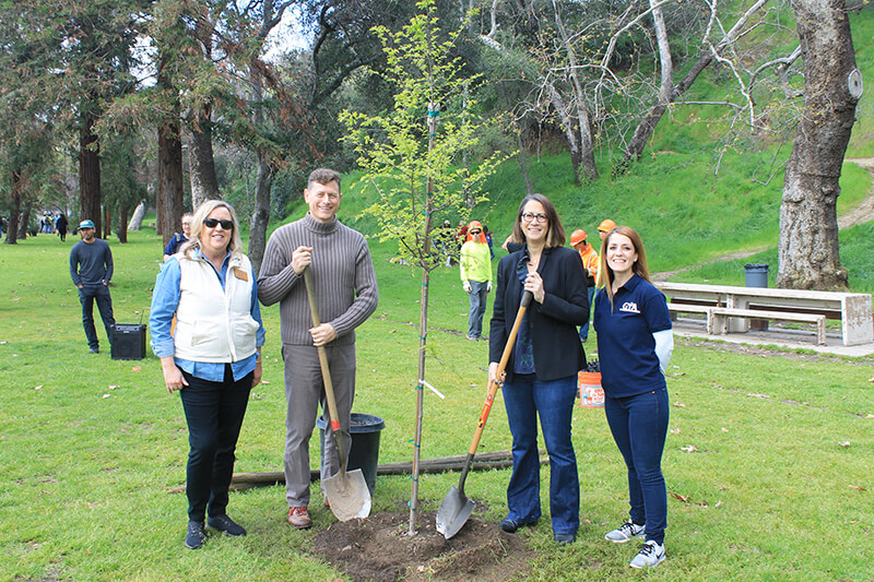 Tree planting event in spring of 2019 in Glendale