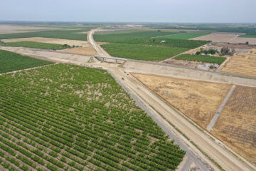 A grade separation sits near a field of trees, viewed from high above, the right of way running beneath it and stretching to the horizon.